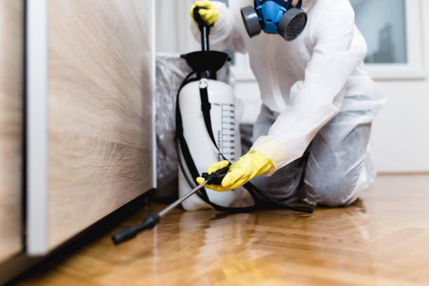 Best Ant Control Services  in Waelder, TX