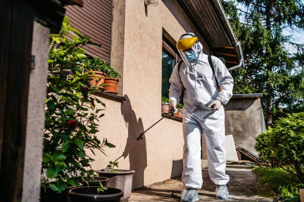 Best Best Pest Control Companies  in Waelder, TX