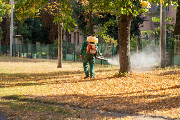 Best Best Pest Control Companies  in Waelder, TX