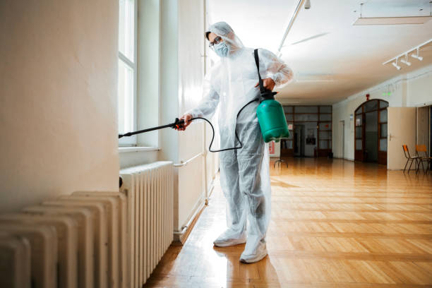 Best Pest Removal Services  in Waelder, TX