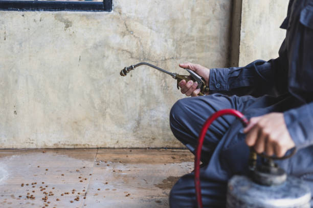 Best Commercial Pest Control Services  in Waelder, TX
